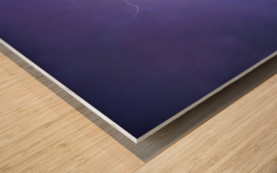 Ghost Rider Wood print