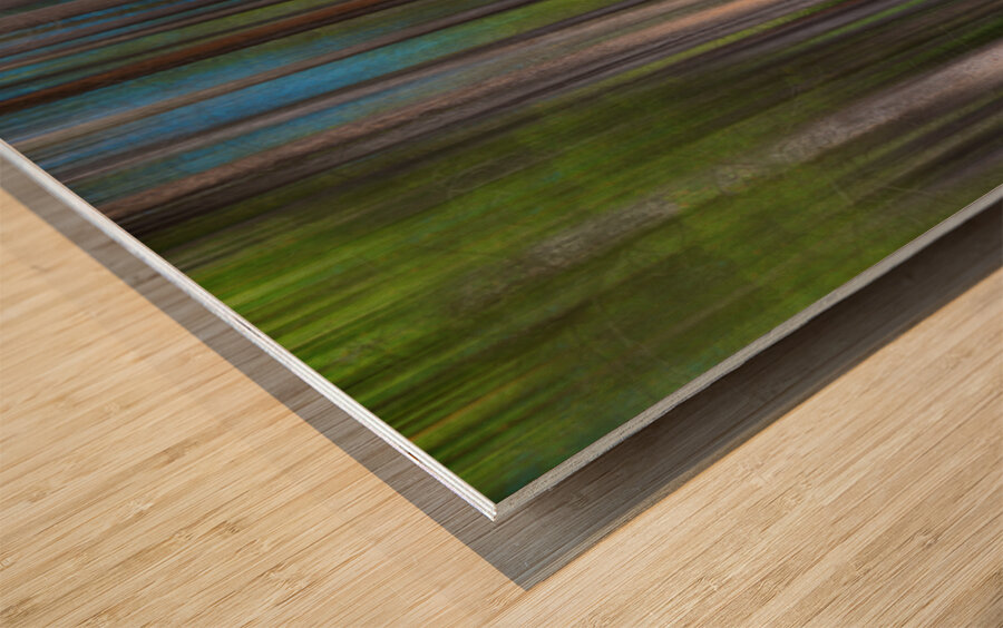 Colorful Forest Lines  Wood print