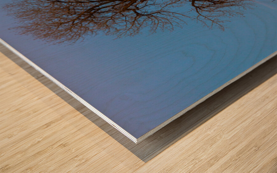 Celestial Sentinel A Supermoons Nocturnal Embrace Wood print