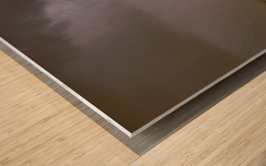 Desert Monsoon Lightning Saguaro Cactus Storm Photography Wood print