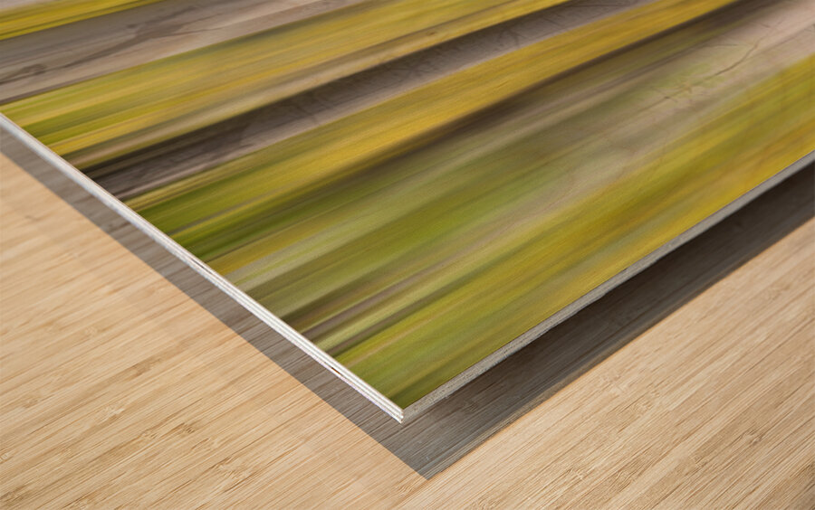 Autumn Aspen Dreamscape Abstract Landscape Wood print