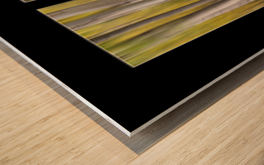 Aspen Splendor Triptych Abstract Landscape Dreaming Collage Wood print