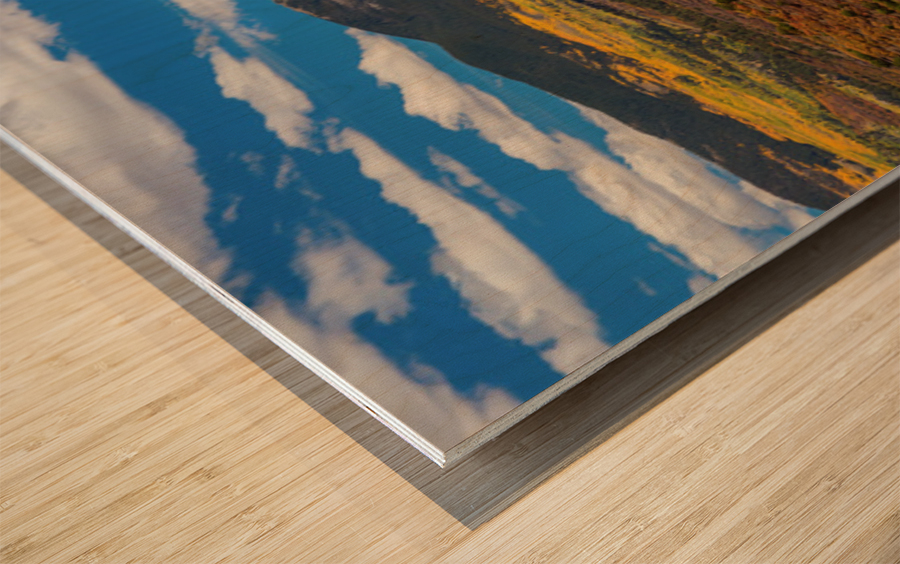 Telluride Panorama 2a 1 Wood print