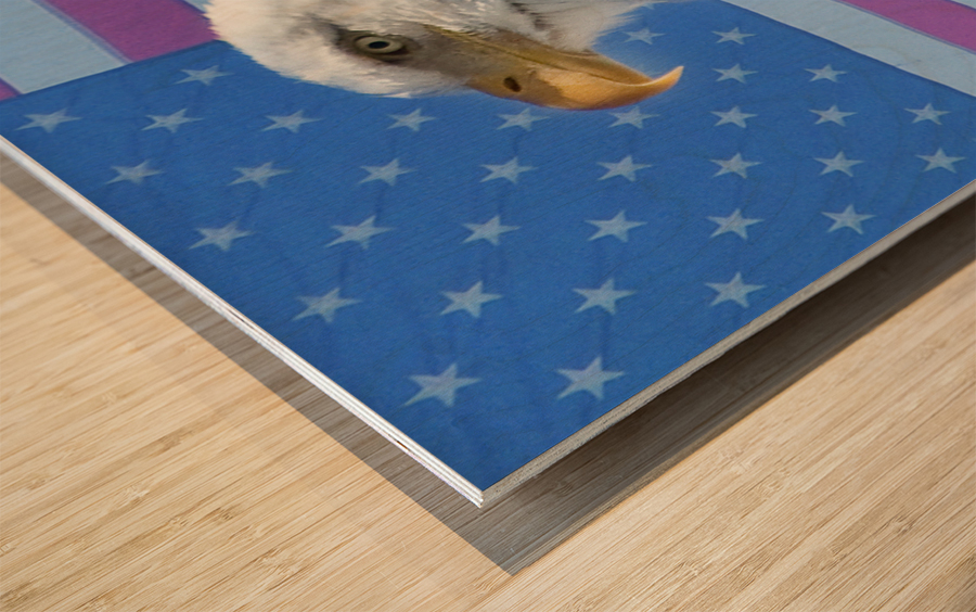 American Eagle 2 Wood print