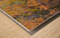Autumns Enchantment - The Country Road Canopy Wood print
