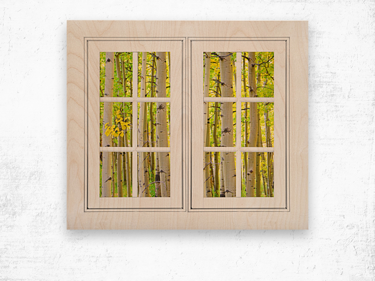 Aspen Forest White Picture Window Frame View Wood print