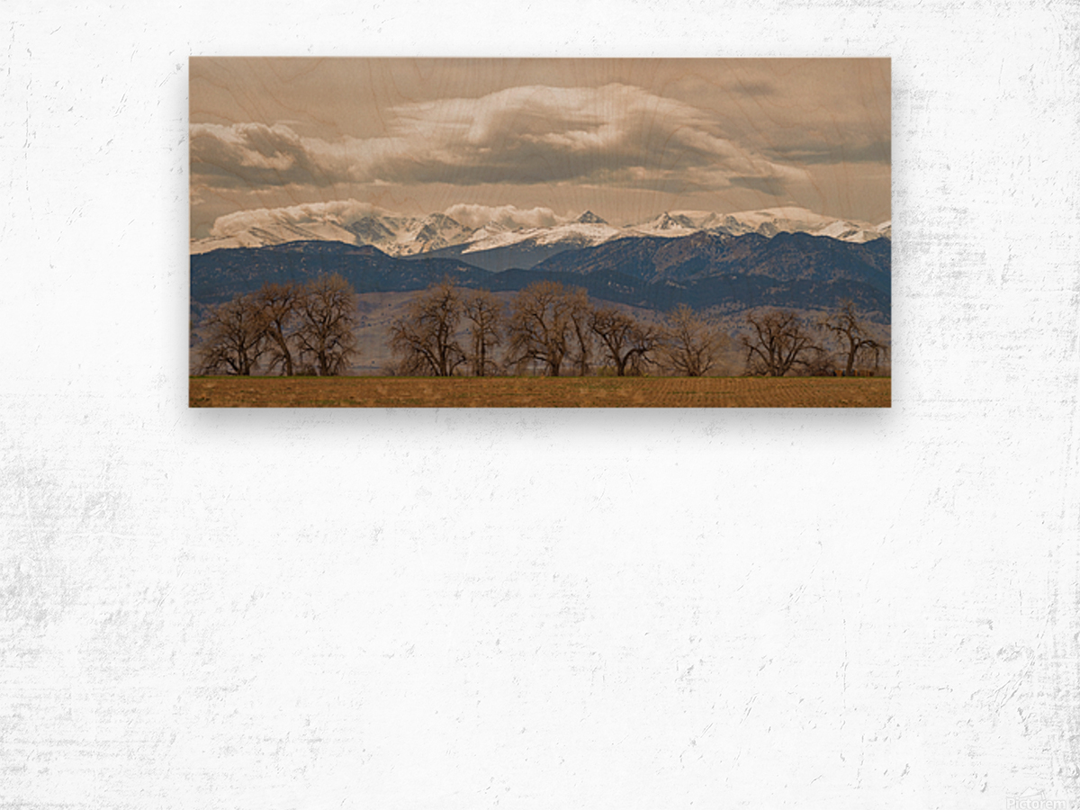 Rocky Mountain Front Range Peaks and Trees Pano Wood print