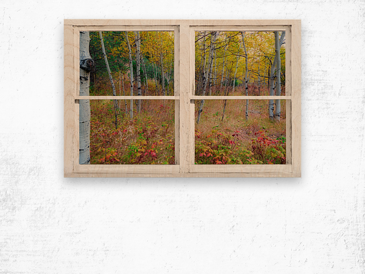 Autumn Forest Delight Rustic Window View Wood print
