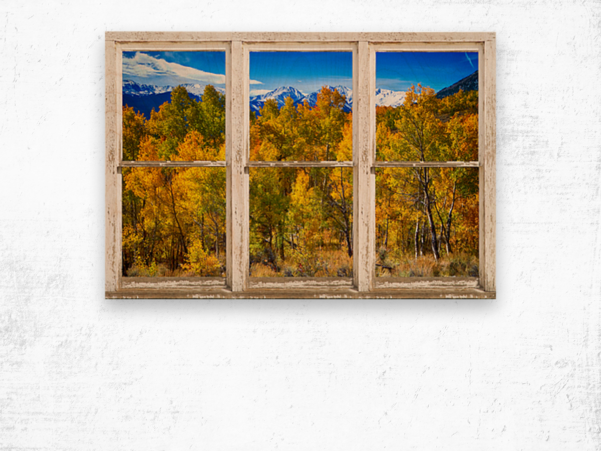 Independence Pass Autumn Colors White Barn Window Wood print