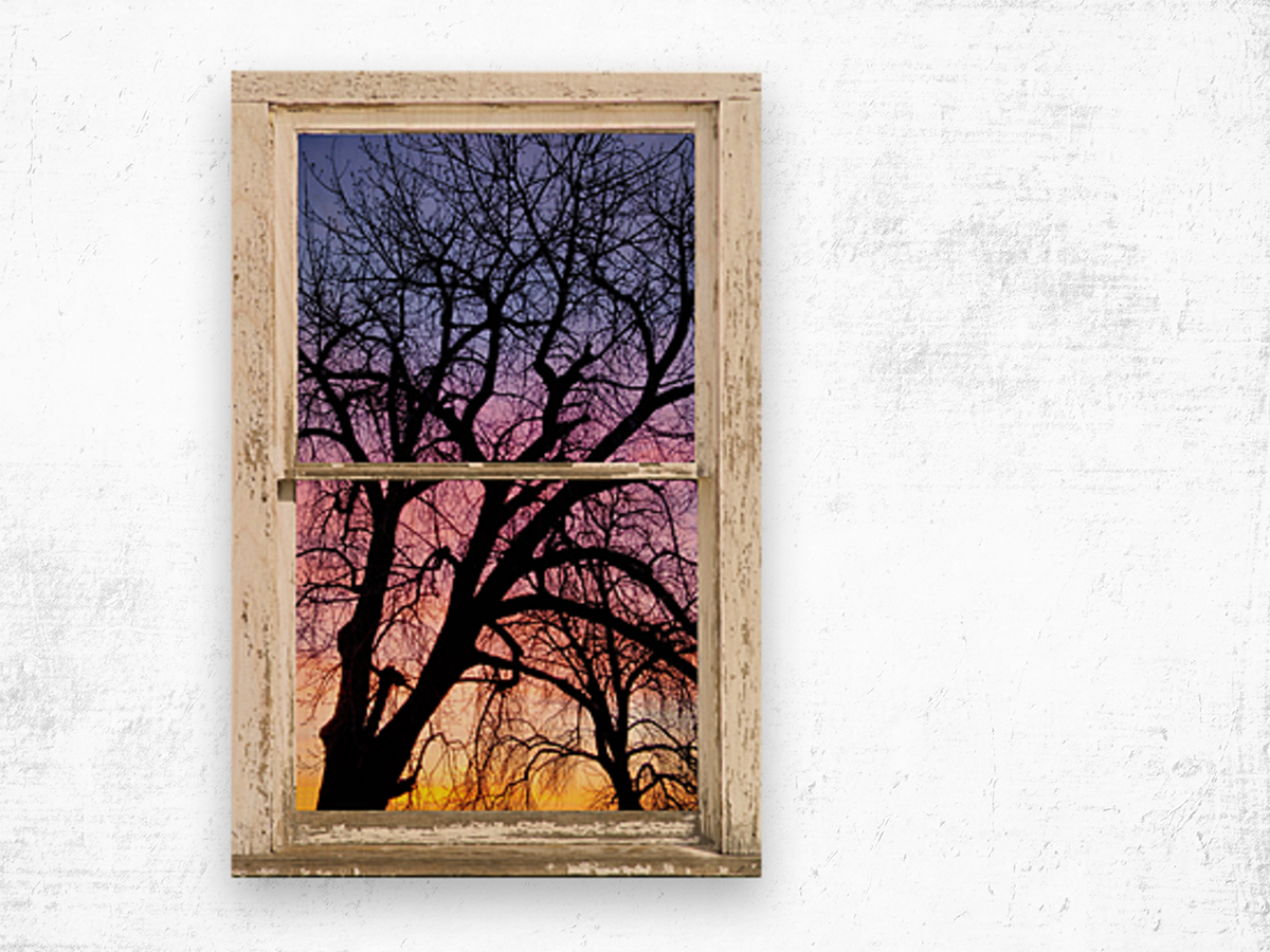 Colorful Tree White Farm House Window Portrai Wood print