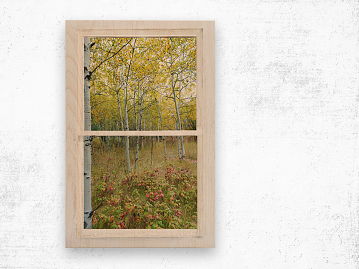 Forest Delight  White Window View Wood print