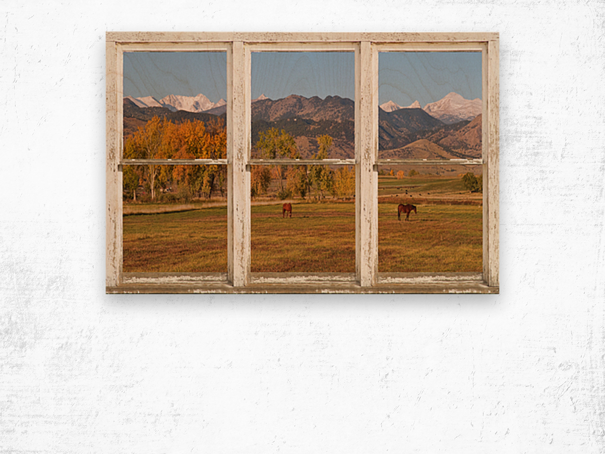 Horses Autumn White Barn Picture Window View Wood print