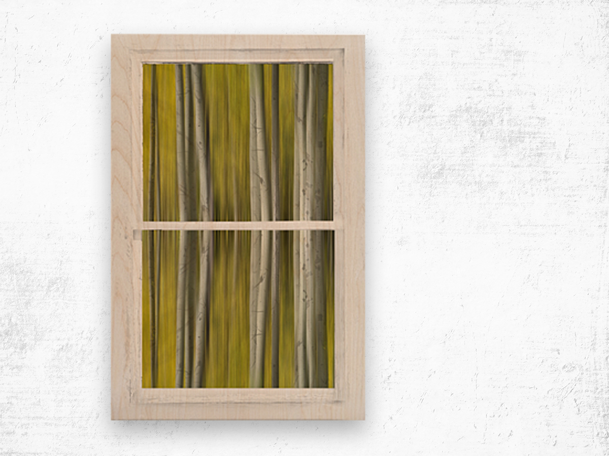 Surreal Dreamy Aspen Forest White Rustic Window Wood print