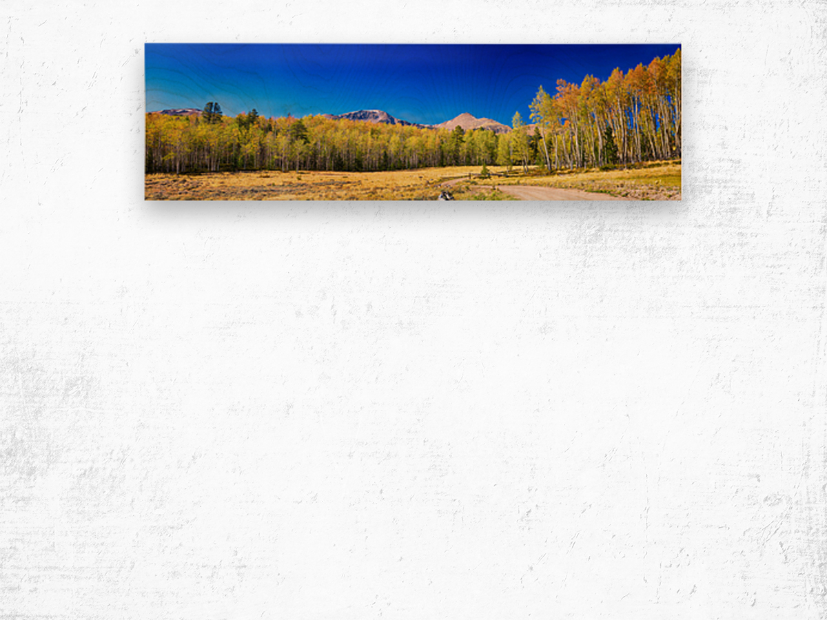 Panorama Autumn Bonanza Impression sur bois