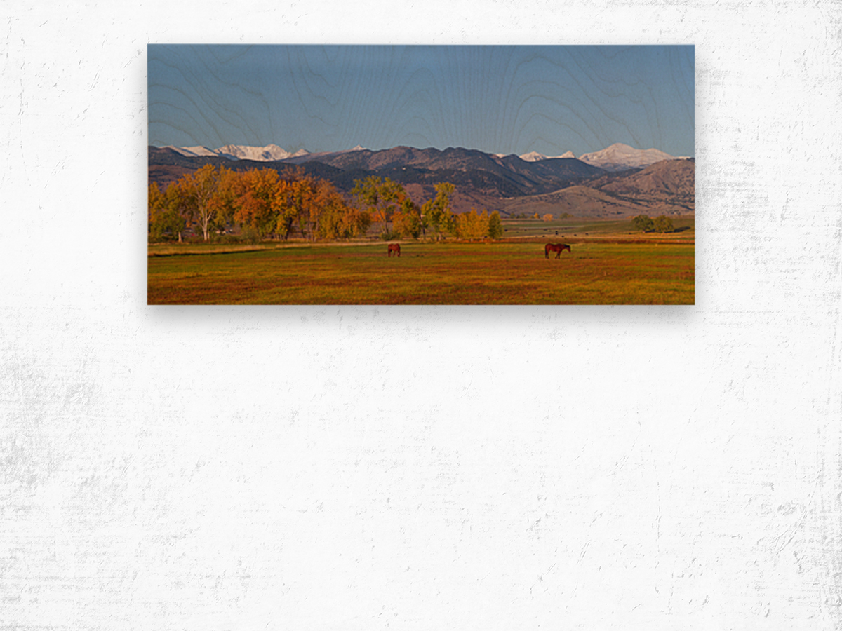 North Boulder County Front Range Panorama Wood print