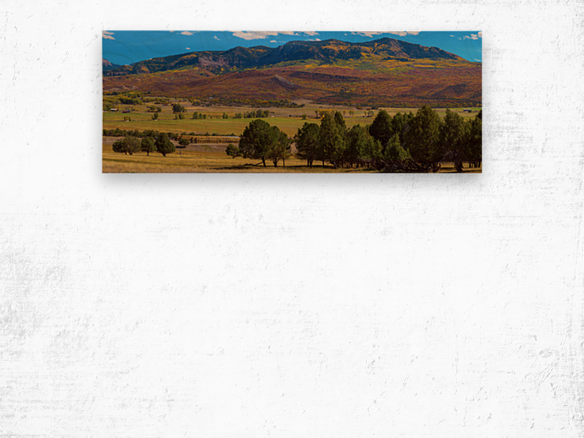 Telluride Panorama 3 Wood print