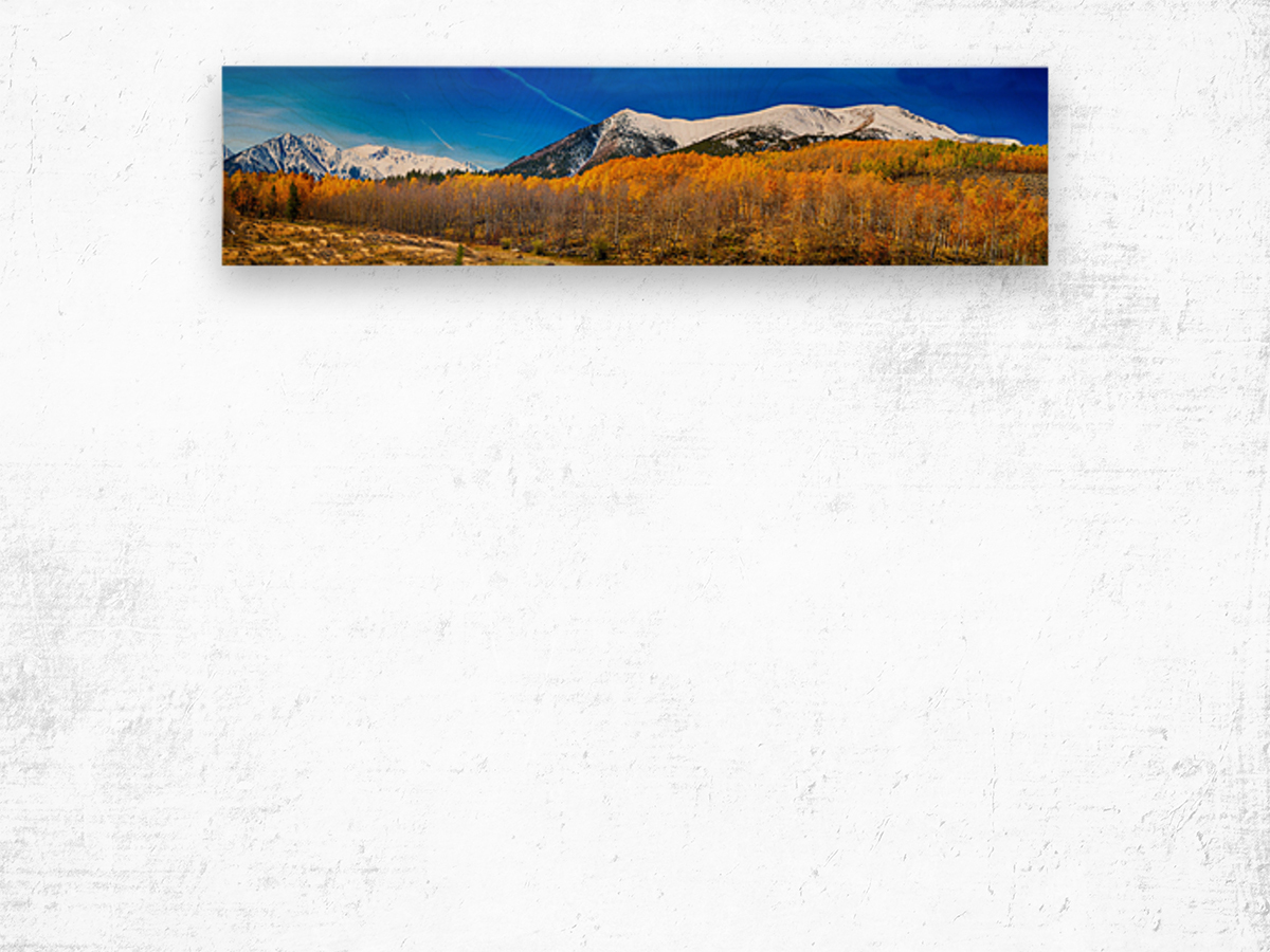 Colorado Rocky Mountain Independence Pass Pano Wood print