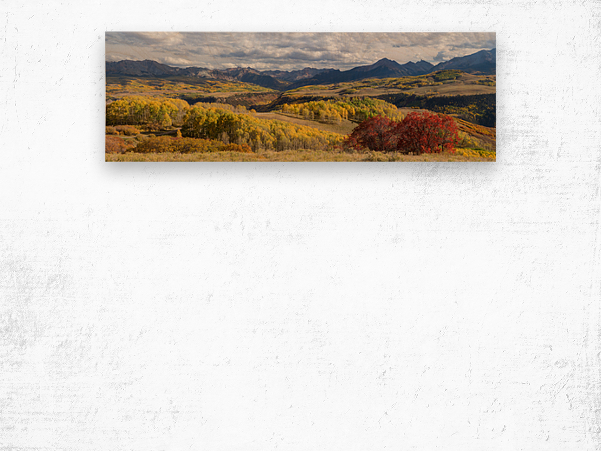 Rocky Mountain Valley Color Panoramic View Wood print
