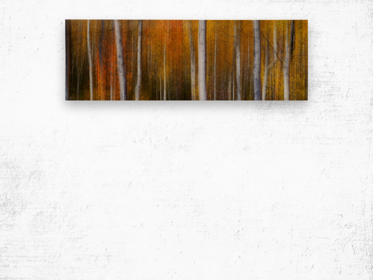 Forest Color Burst Modern Abstract 60x20 Wood print