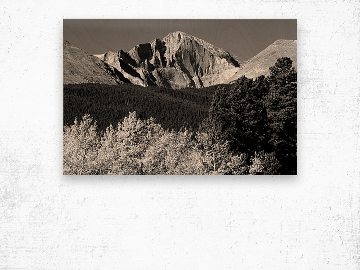 Longs Peak Autumn Aspen Landscape View BW Wood print