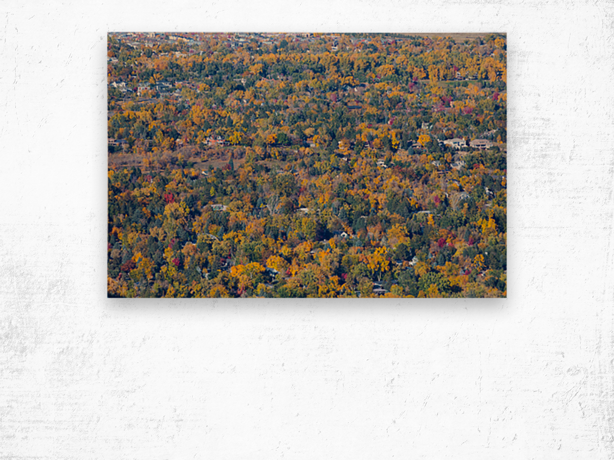 Fall Foliage Boulder Colorado Wood print