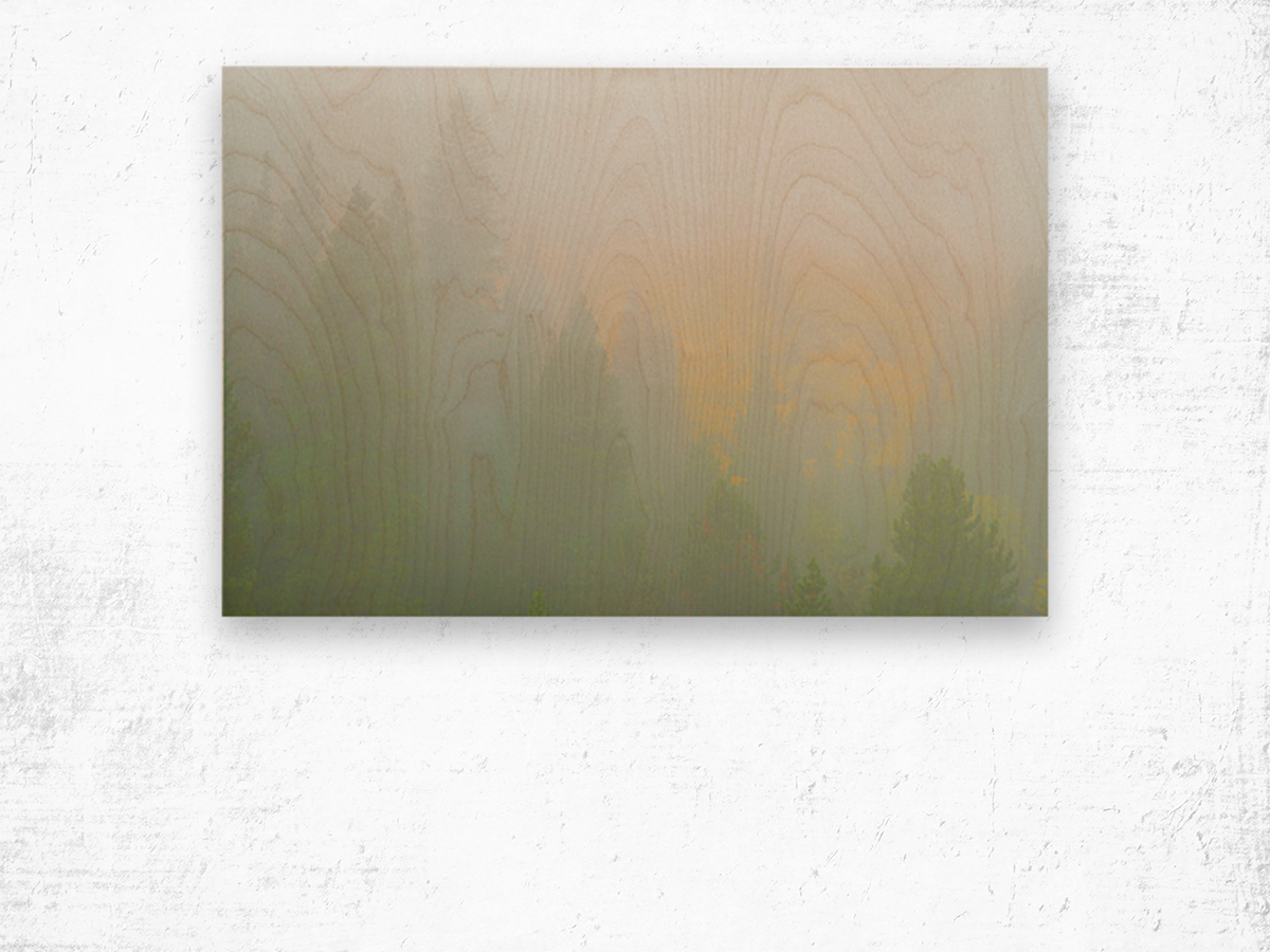Deep in the Fog Wood print