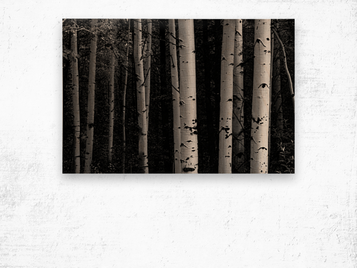 Shades Of A Forest Wood print