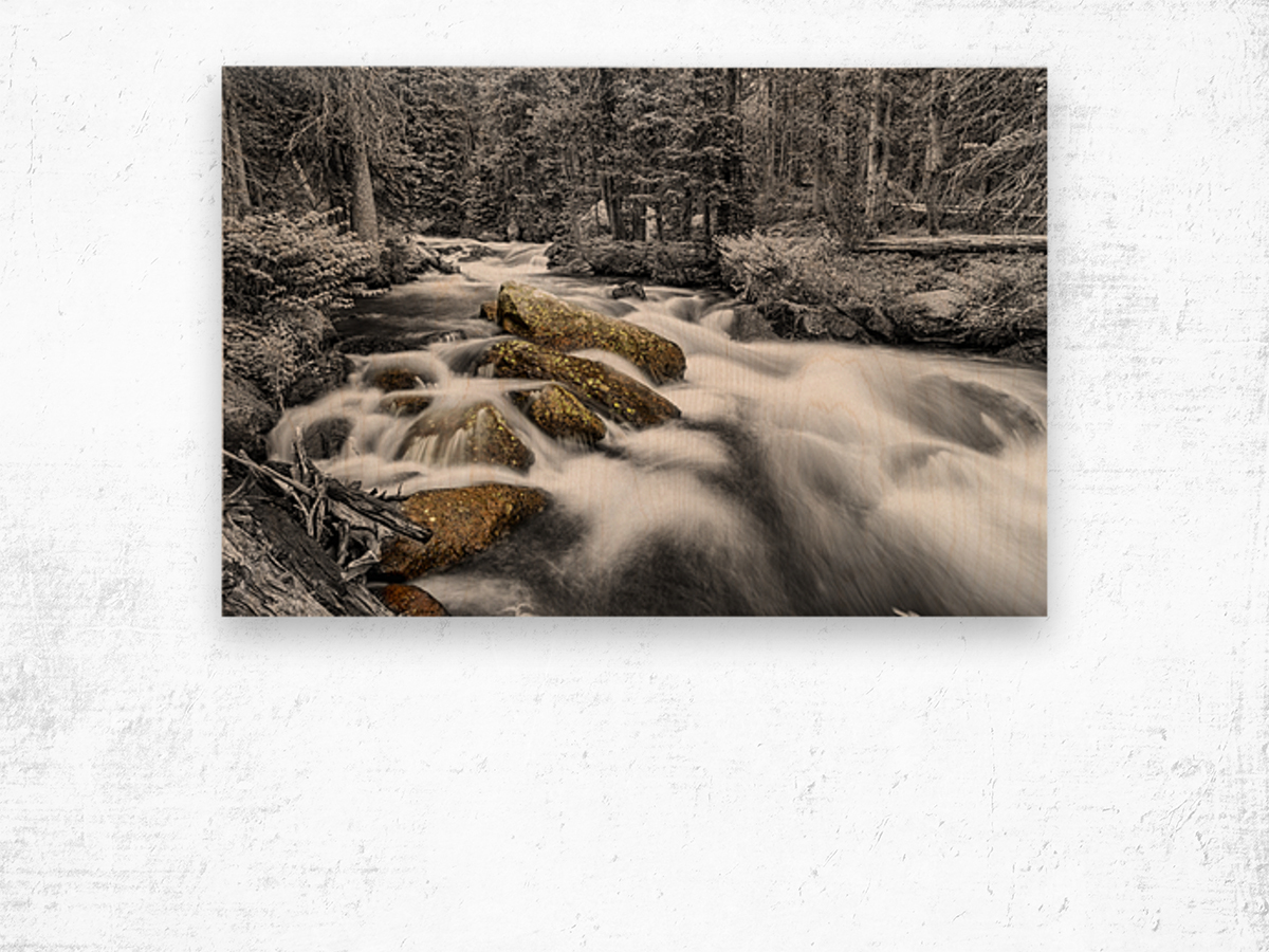 Roosevelt National Forest Stream BW Selective Wood print