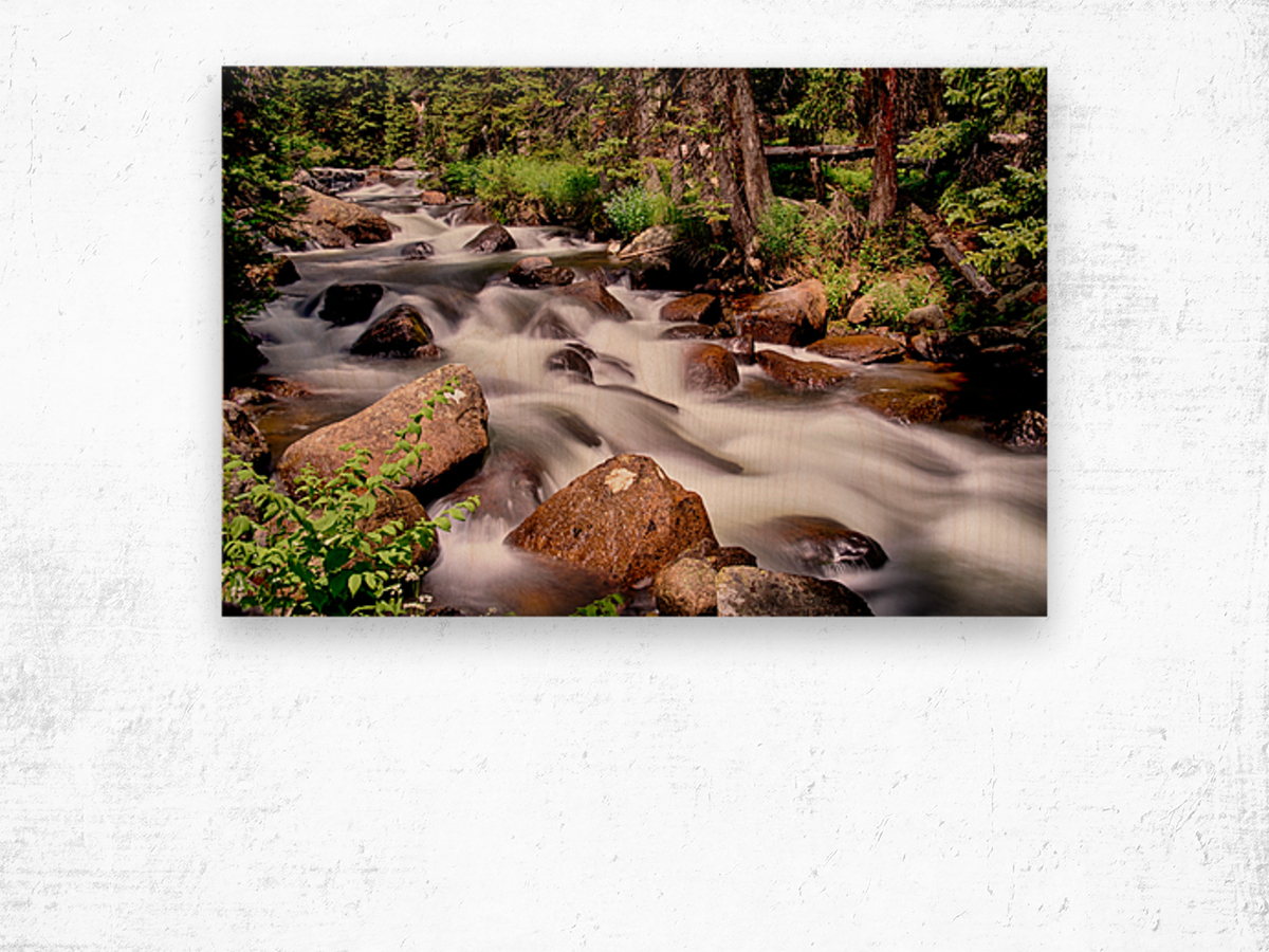 Cascading Rocky Mountain Forest Creek Wood print