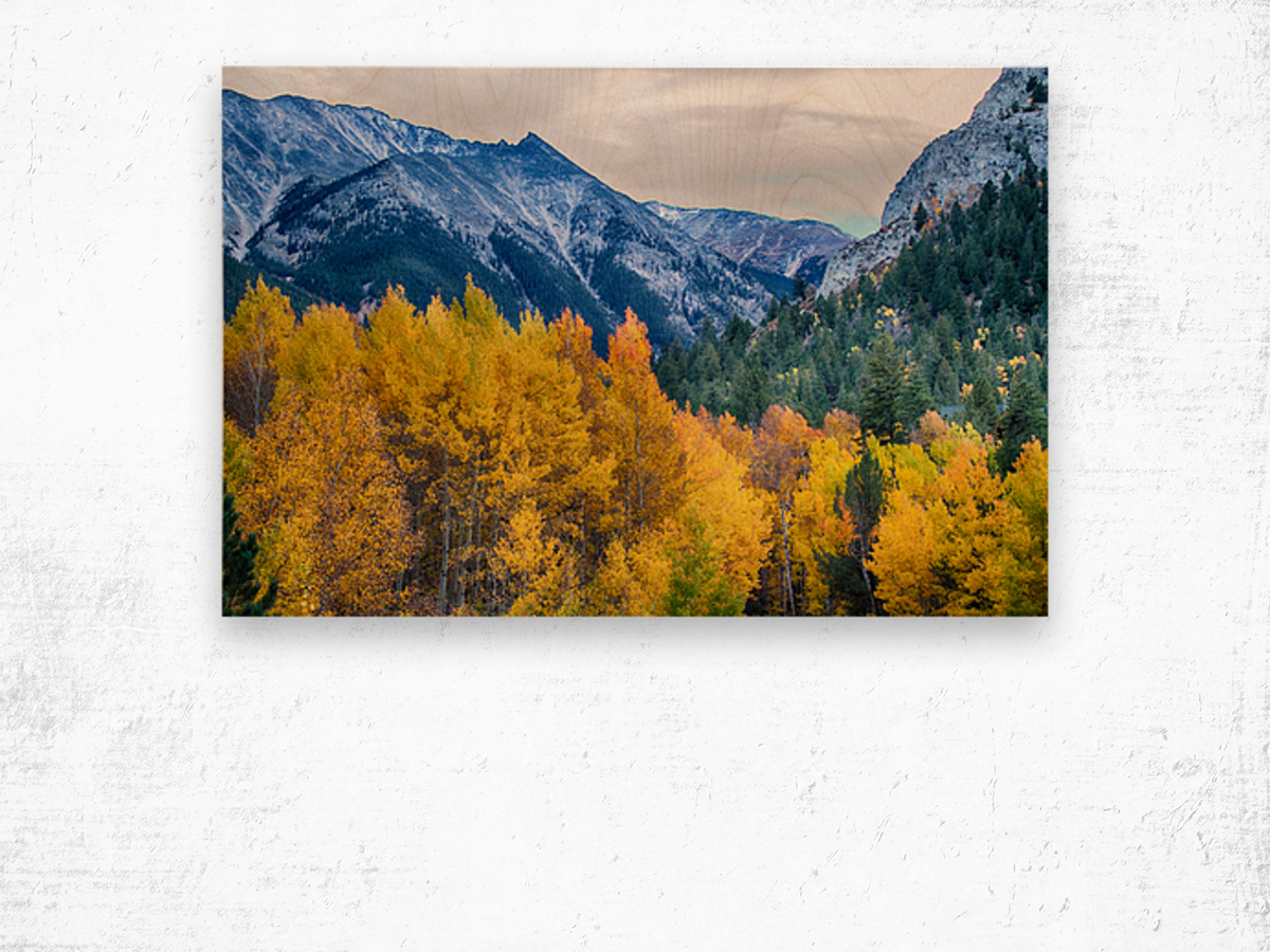 Colorful Crested Butte Colorado Wood print