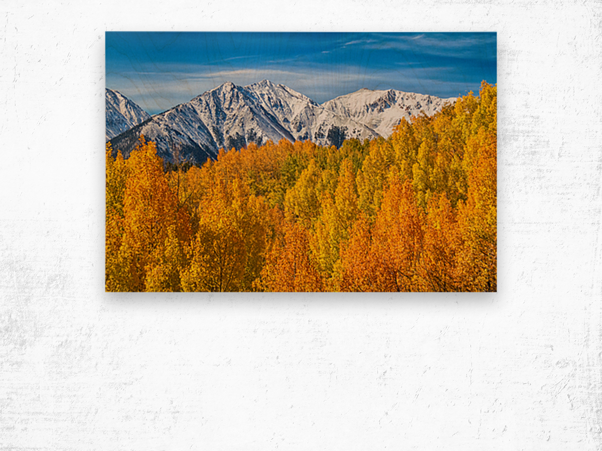 Colorado Rocky Mountain Autumn Beauty Wood print