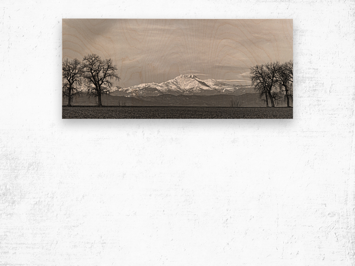 Twin Peaks Between The Trees BW Panorama Wood print