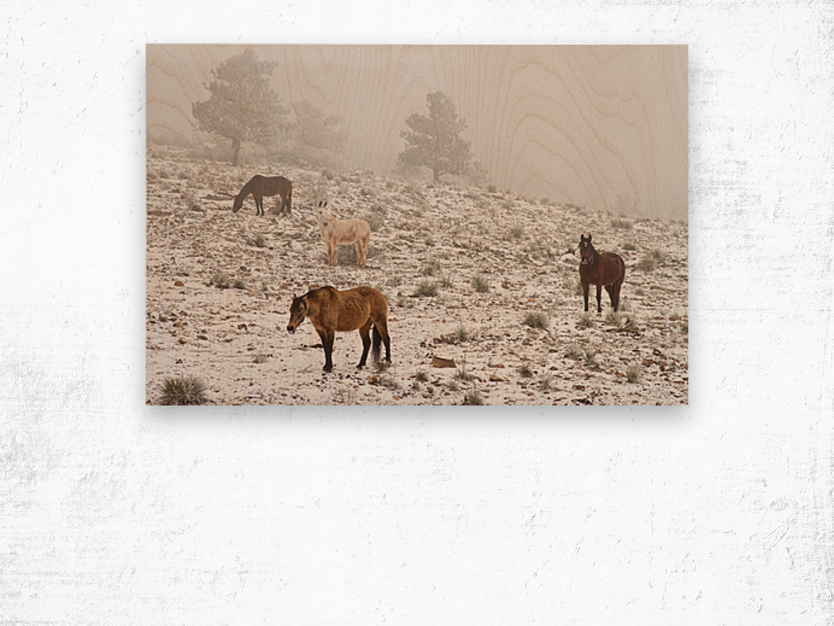 Rocky Mountain Horses Snow Fog Impression sur bois