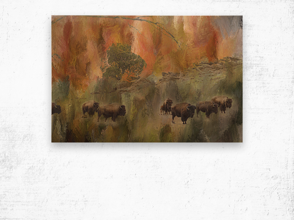 Bison Herd Watching Wood print