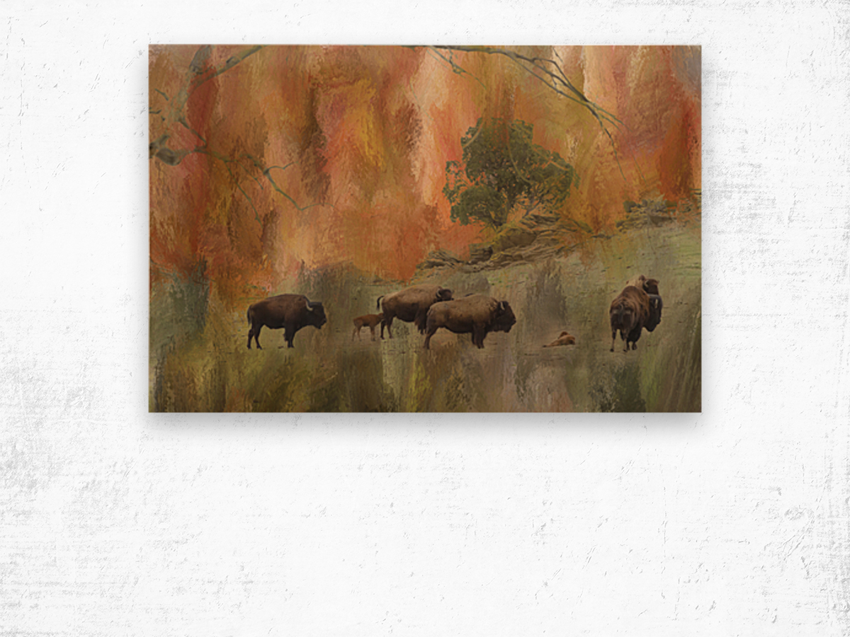 Springtime Bison Calves Wood print