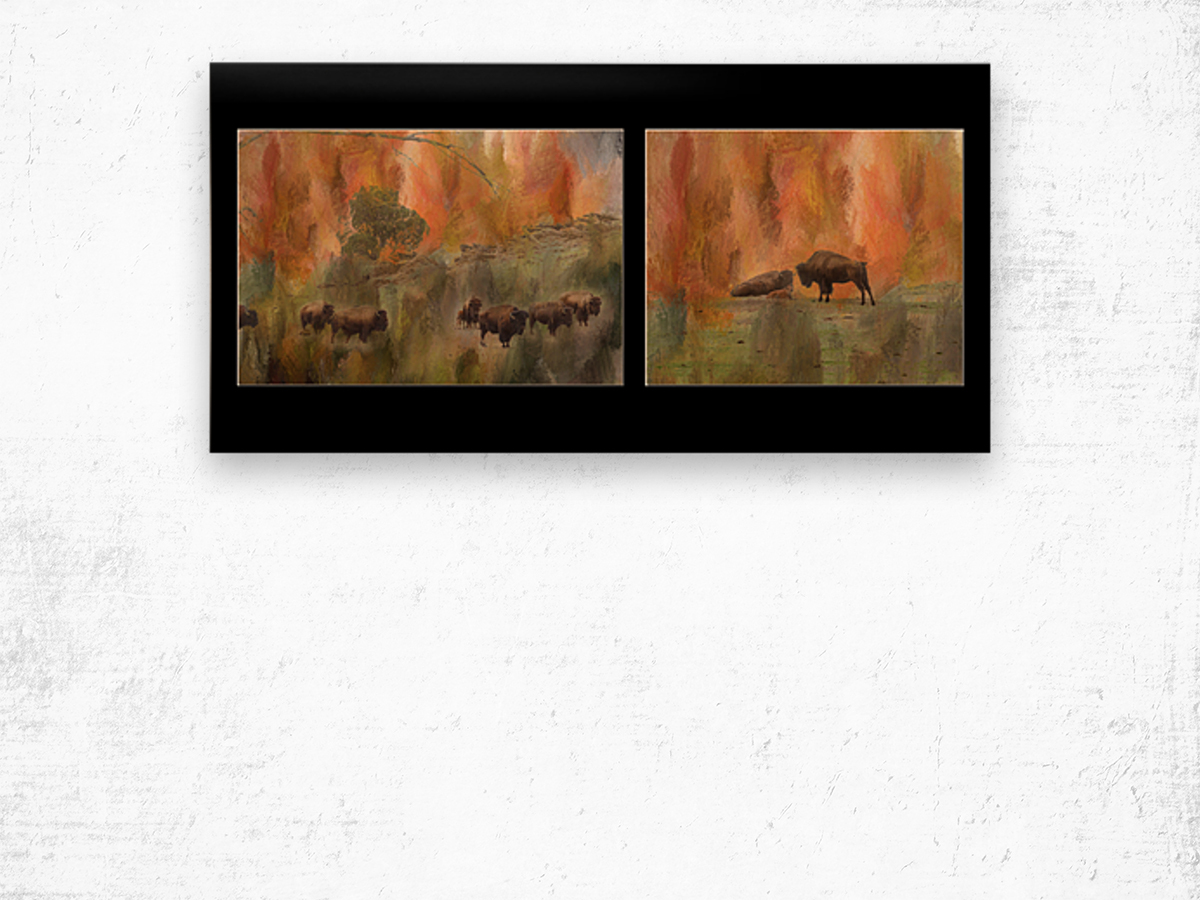 Bison Herd Diptych Impression sur bois