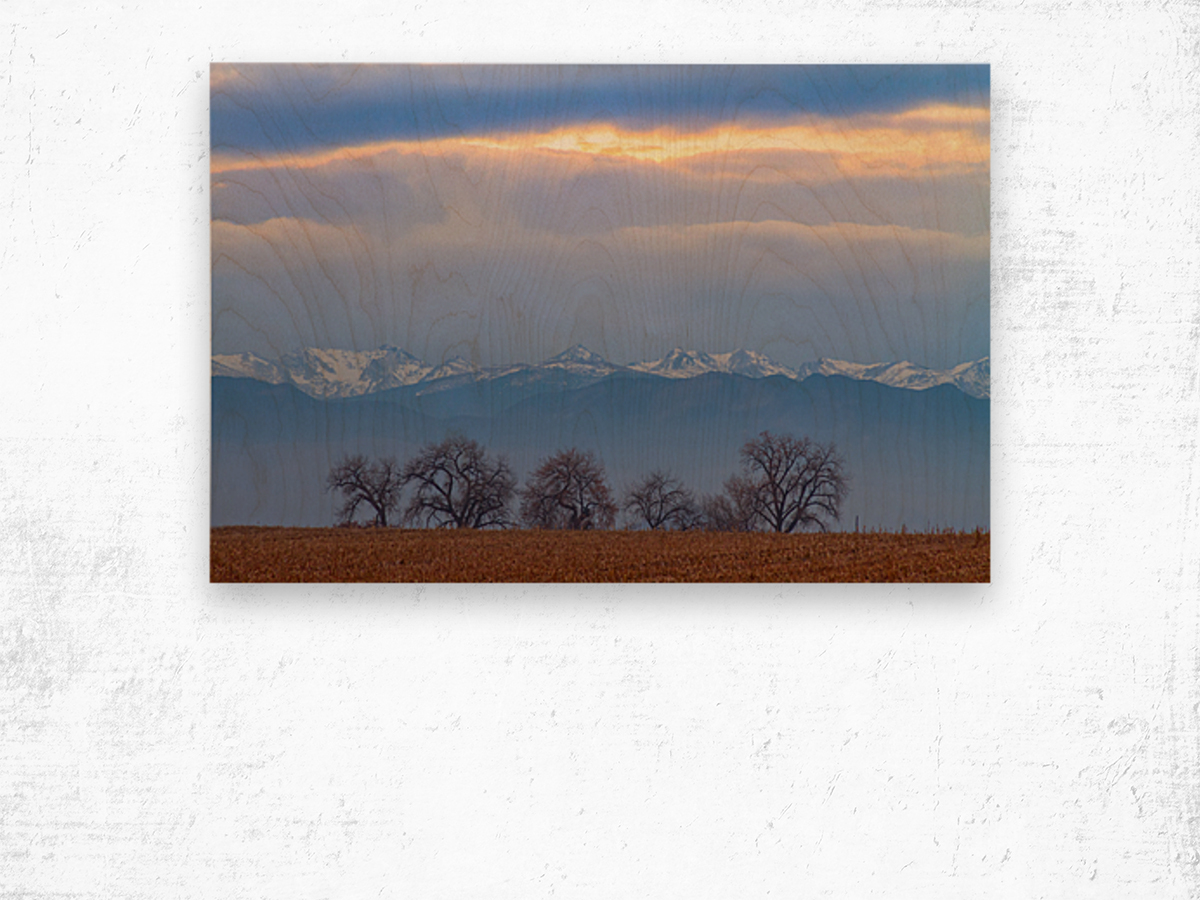 Colorado Rocky Mountain Front Range Standing Ovation Wood print