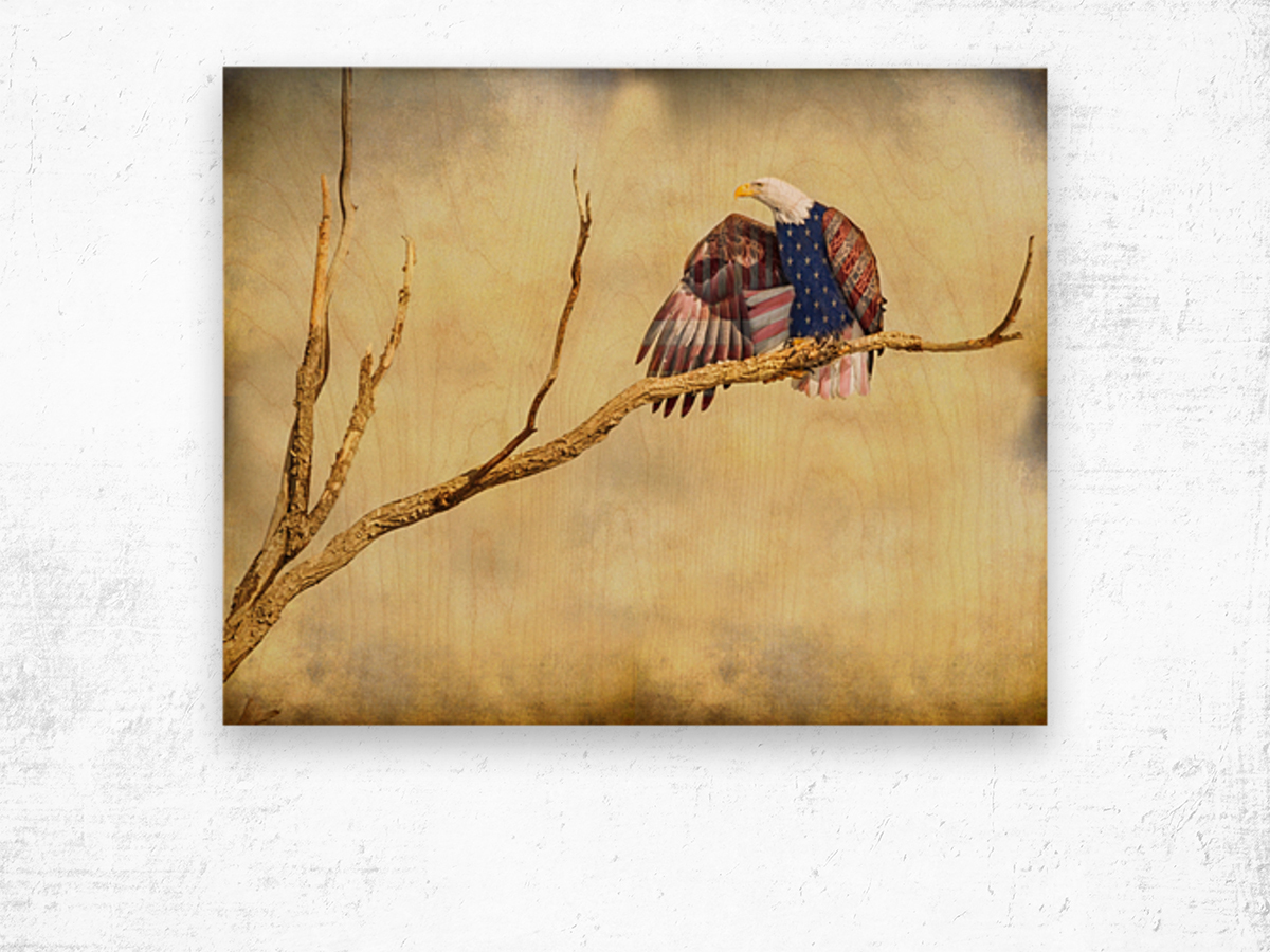 Patriotic Eagle with Stars and Stripes Wood print