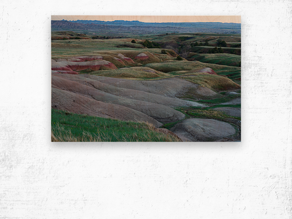 South Dakota Badlands and Refreshed Springtime Grasslands Wood print